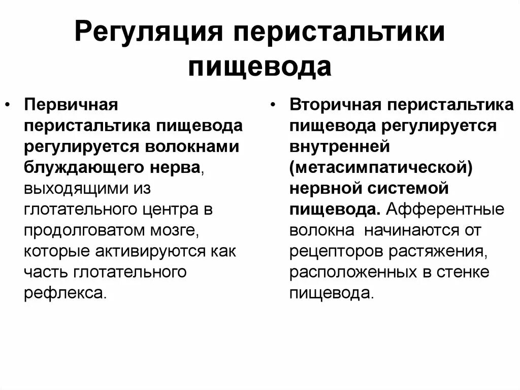Перистальтические сокращения кишки. Перистальтика ослаблена. Нормальная перистальтика. Перистальтические движения кишечника. Виды регуляции моторики тонкого кишечника.