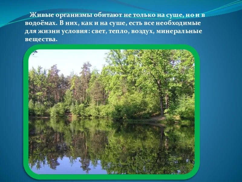 Организмы пруда. Водоемы нашего края. Что такое водоемы 4 класс. Сообщение о водоёме нашего края. Проект водоемы нашего края.