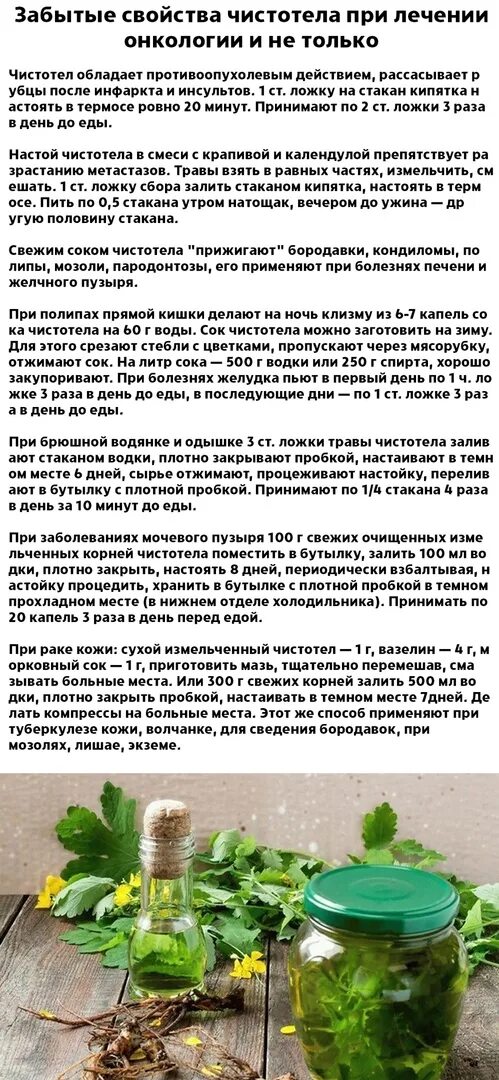 Чистотел можно ли внутрь. Чистотел для очищения организма. Схема принятия настойки чистотела. Чистотел настойка онкология. Схема принятия отвара чистотела.