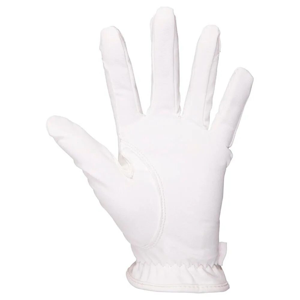 24 белых перчатки и 20 черных. Перчатки ELT. Перчатки Roeck-Grip белые. Перчатки латексные белые. Перчатки кожаные белые прозрачный фон.