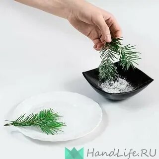 Еловые ветки нужно ставить в воду