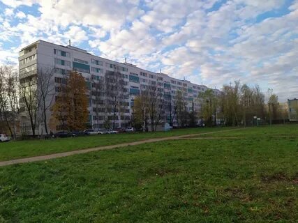 Бела куна 1