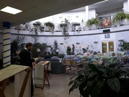 Центр паллиативной помощи некрасовка