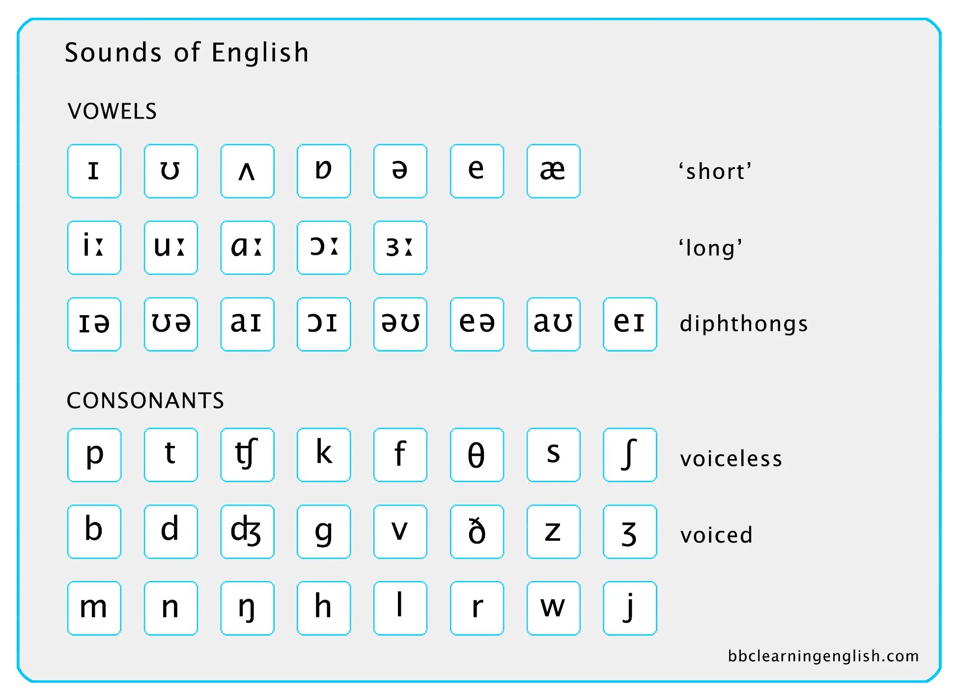 Sounds of English Transcription таблица. Consonants and Vowels в английском языке. Таблица consonants and Vowels. Звуки транскрипции в английском языке таблица.