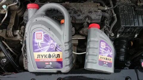 Civic антифриз