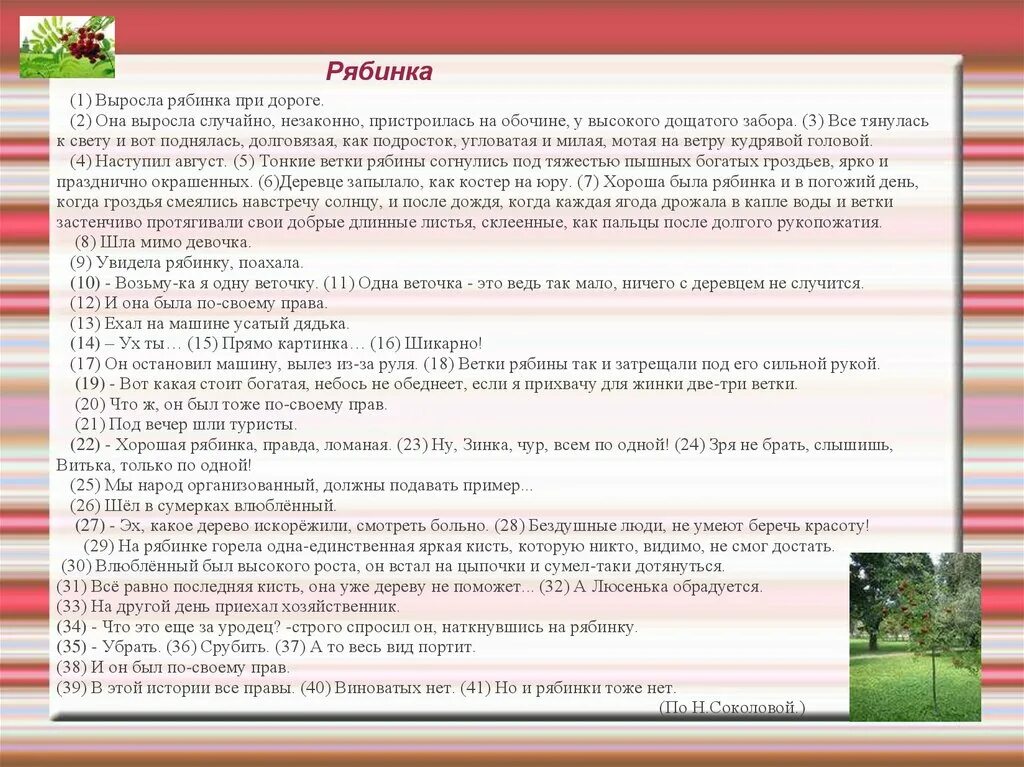 Человек создан на столетия егэ проблема. Изложение Рябинка. Соколова н. текст Рябинка. Сочинение ЕГЭ выросла Рябинка при дороге она выросла. Выросла Рябинка при дороге.