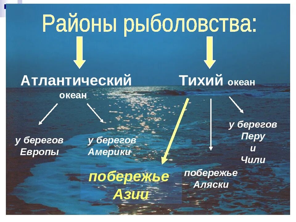 Районы рыболовного промысла. Важнейшие районы рыболовства в мире. Рыболовство в мировом океане. Главные районы рыболовства. Определение частей океана