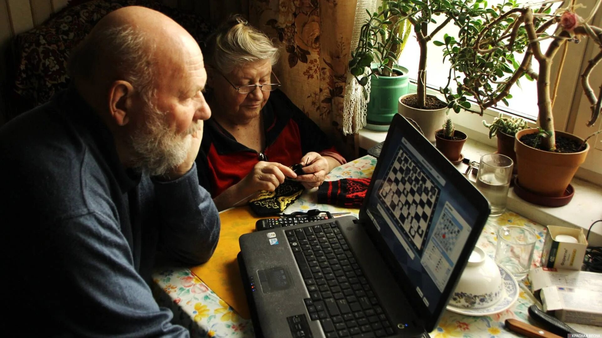 Дом пенсионеров. Пенсионеры дома дома. Пенсионеры в Старом доме. Пенсионеры и компьютер.