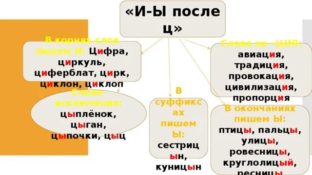 Правило написания и после ц. Правила правописания букв и ы после ц. Правило написания ы и и после ц. Ы-И после ц таблица.