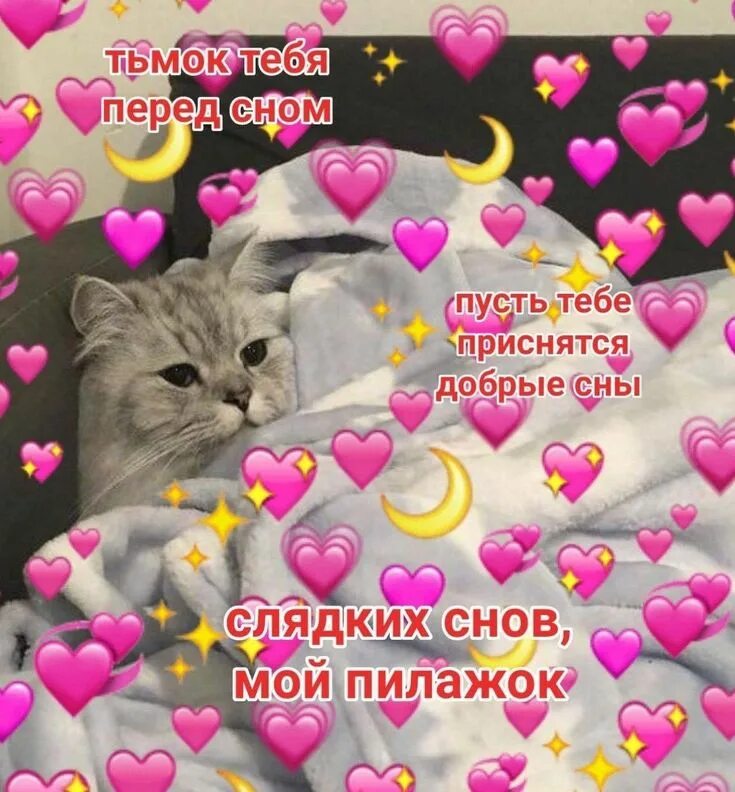Пин от пользователя Valentina Rau на доске ha ha Веселые мемы, Мемы, Смешные ком