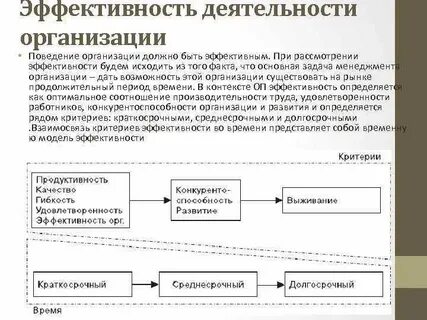 Функция организация поведения