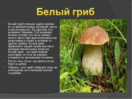Бел 3 класс