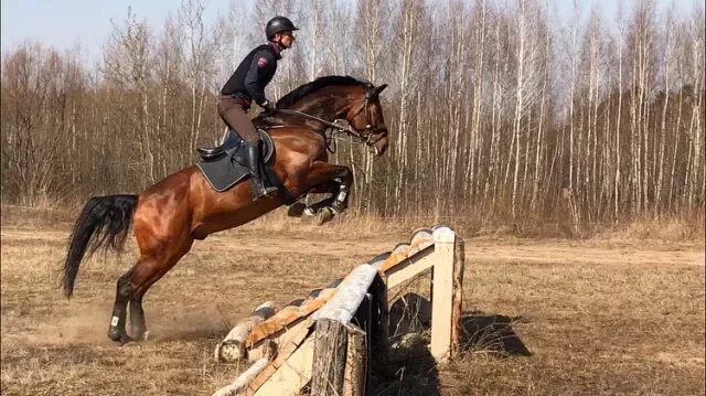 Кск вход. КСК Виват Вологда. Конный клуб Виват Вологда. Конно-спортивный комплекс белка.