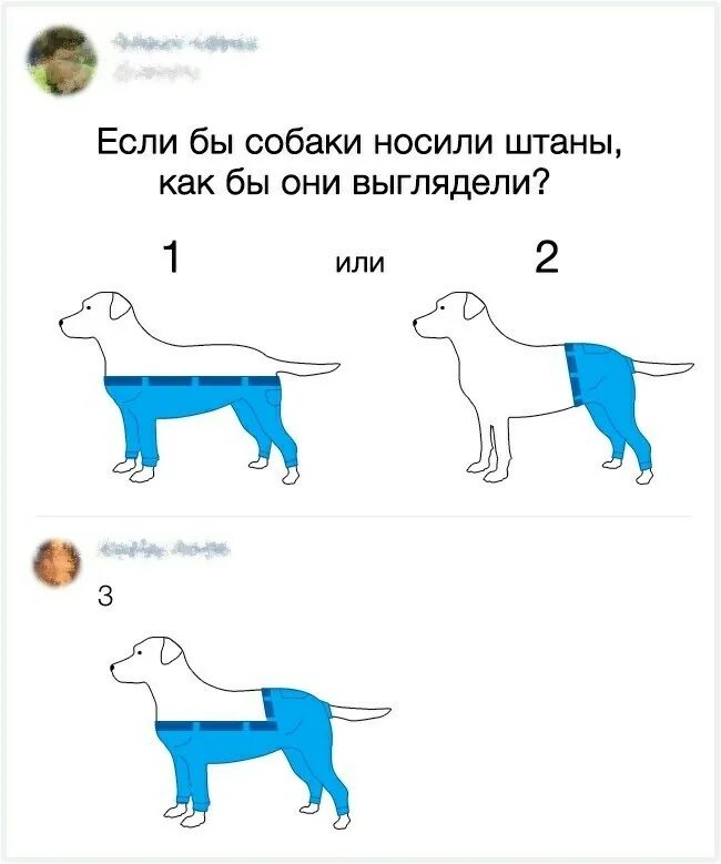 Собаки не носят штанов отзывы. Как собака носит штаны. как собаки будут носить штаны. если бы собака носила штаны. как пес должен носить брюки.