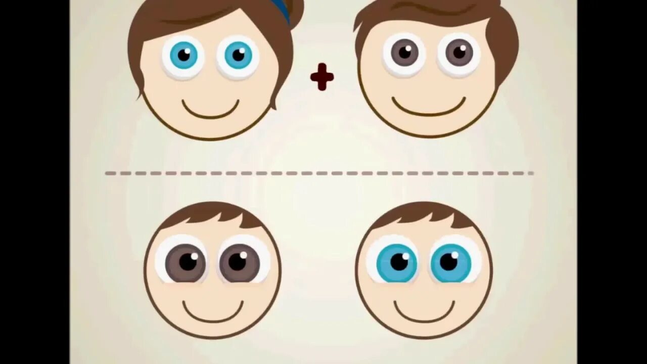 Какие глаза будут у ребенка. Цвет глаз родителей и детей. Какого цвета будут глаза у ребенка. Таблица цвета глаз родителей.