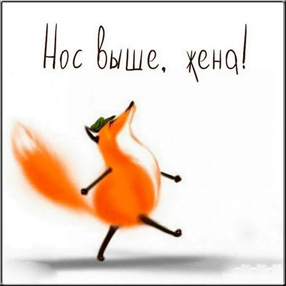 Никуда не спишу