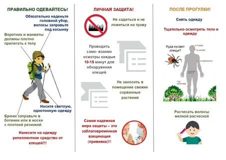 Обработка от клеща при какой температуре