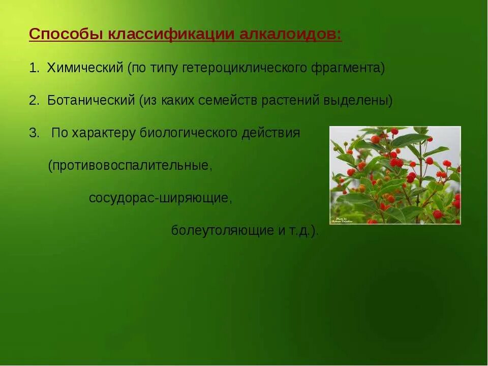 Значение в области какой ботанической. Классификация алкалоидов. Алкалоиды растений классификация. Алкалоиды в растениях. Ботаническая классификация алкалоидов.