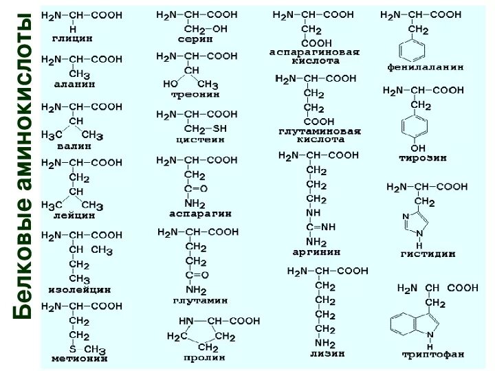 10 формул аминокислот