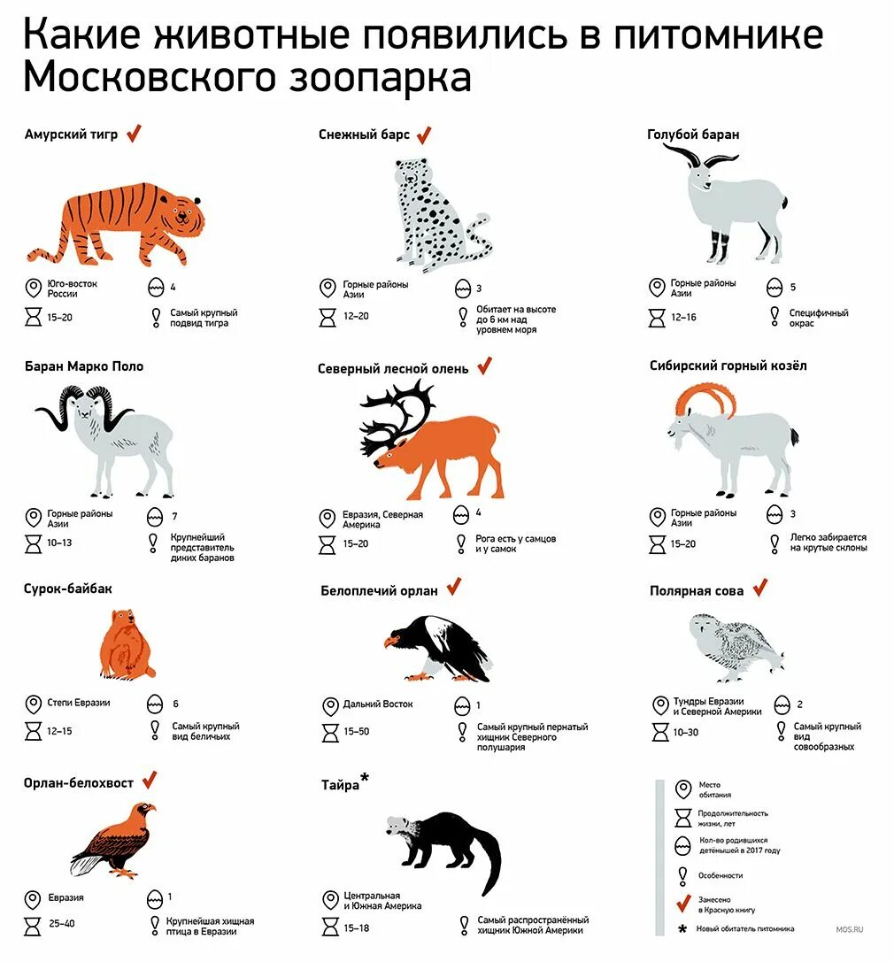 Список нужных животных. Перечень животных в московском зоопарке. сколько животных в московском зоопарке. московский зоопарк животных список. список животных которые есть в московском зоопарке.
