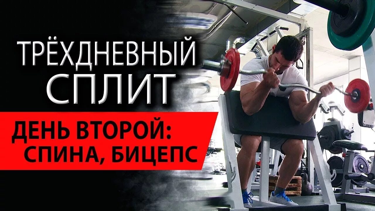 Сплит спина бицепс. Программа тренировок на бицепс и трицепс. Трехдневный сплит для мужчин. Тянущие и толкающие мышечные группы. Тренировка спина бицепс.