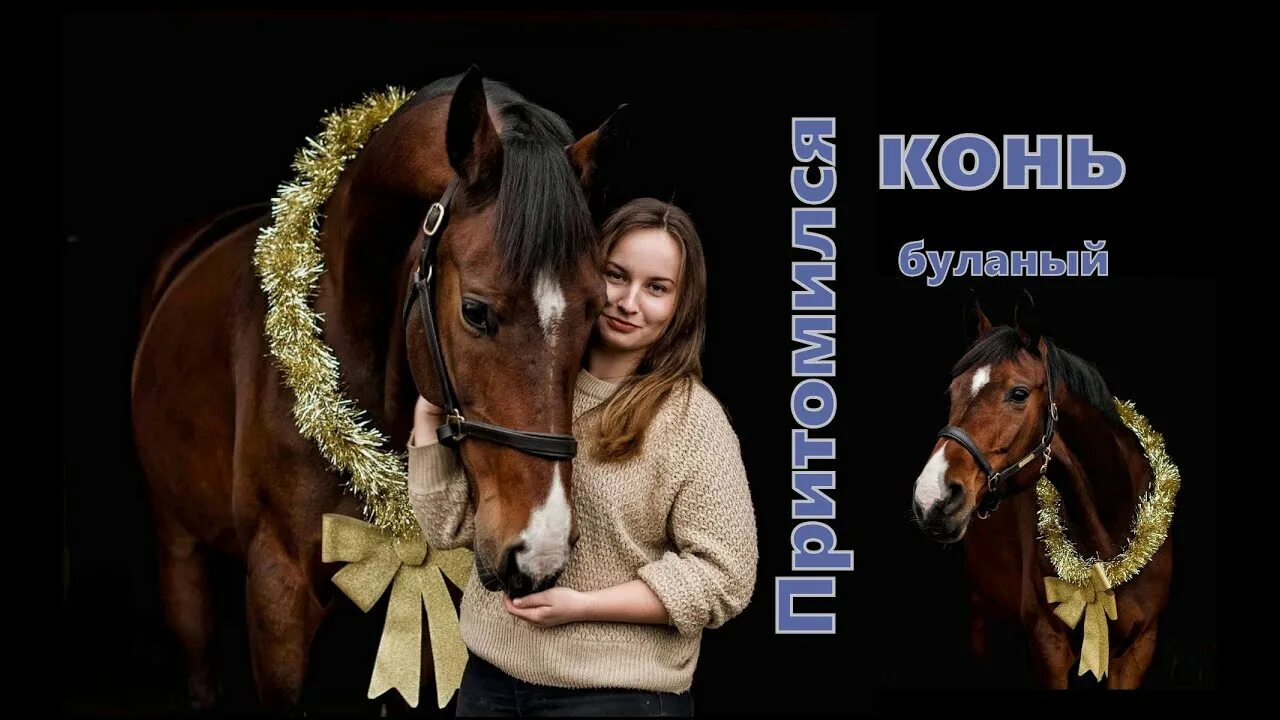 Мой конь притомился. Конь притомился.