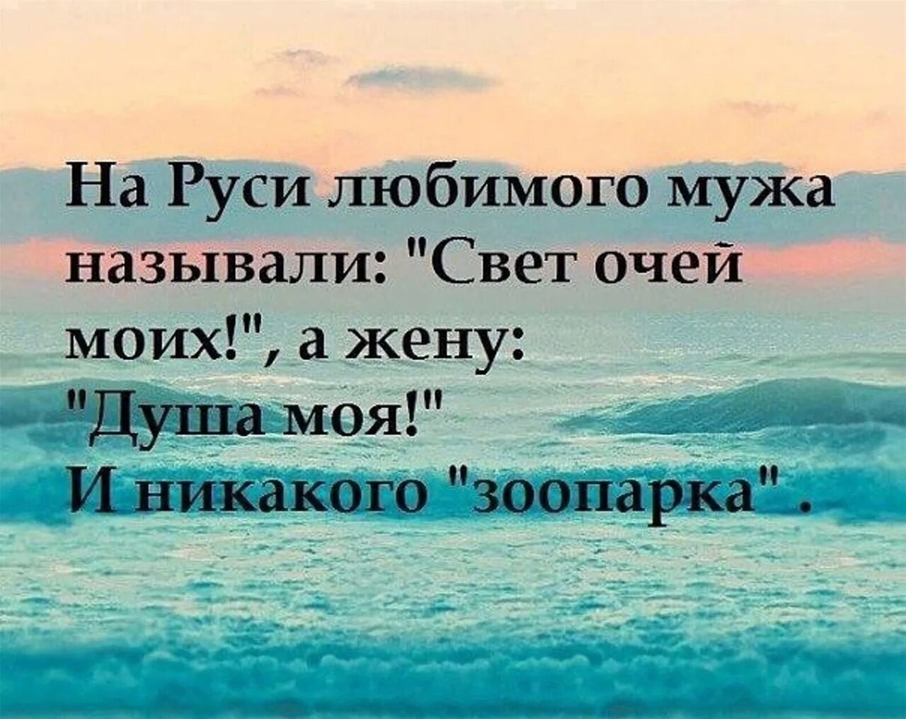 Свет моих очей выражение. Свет очей моих. Душа моя свет очей моих как. Душа моя свет очей моих и никакого зоопарка.