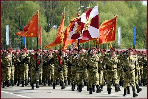 Войска дивизии