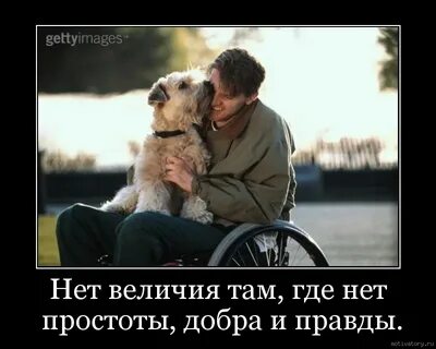 Добрая правда что это