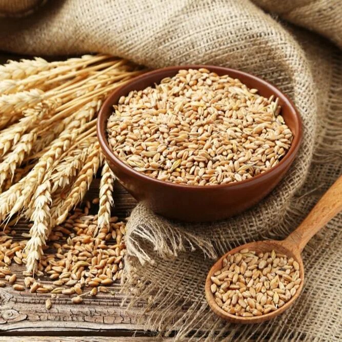 Отличные пшеничные. Армянская пшеница дзавар. Дзавар крупа. Полба, Куркут, дазавар,. Цельнозерновая пшеница.