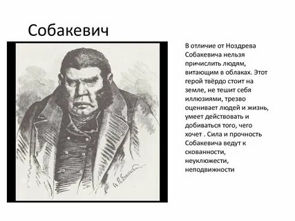 Характеристика деревни собакевича мертвые души