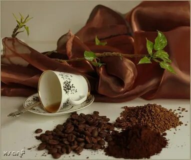 Вкус кофе картинки