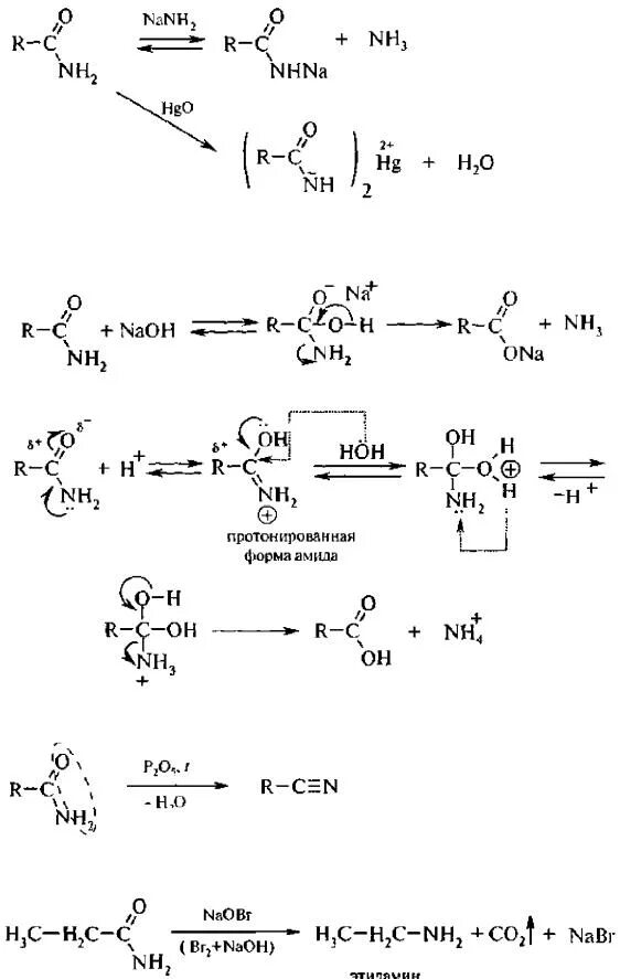 Щелочной гидролиз карбоновых кислот. Кислотный гидролиз Амида механизм. Гидролиз амидов в кислой среде механизм. Кислотный гидролиз амидов механизм. Щелочной гидролиз амидов механизм.