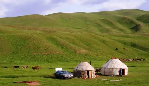 Украиндық порножұлдыз Виска видеода өзінің тар попасын алады