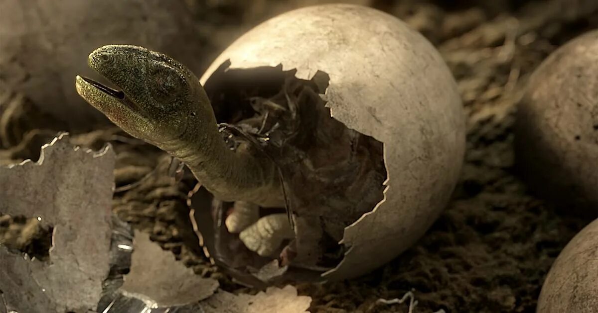 Парк Юрского периода вылупление. Мир Юрского периода яйцо динозавра. Яйцо динозавра парк Юрского периода. Тирекс вылупляется из яйца.