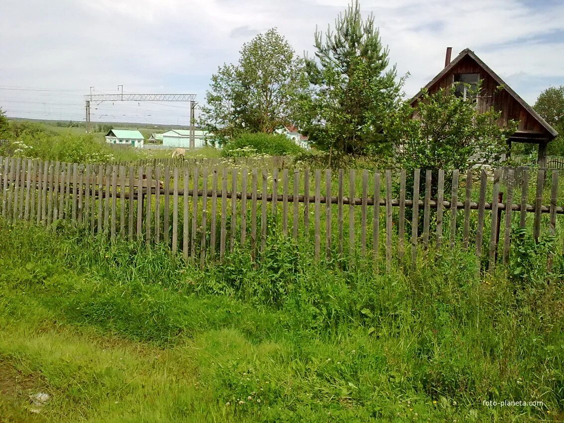 Поселок туманово вяземского района смоленской области. Село туманово арзамасский район. Туманово вяземский район смоленской области. Село туманово вяземский район. Туманово вяземский район.