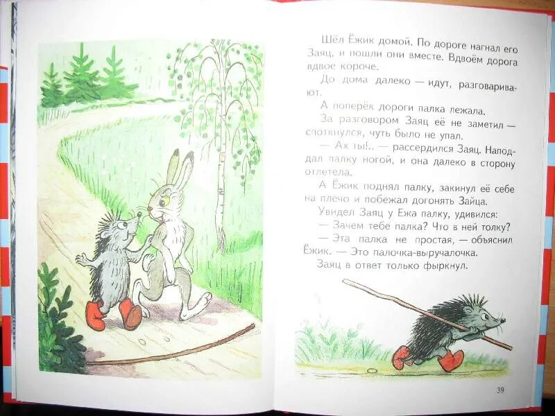 Рассказы разговор читать. Рассказ про ежика и зайца. Рассказ разговор ежика и зайца. Сочинение разговор ежика и зайца. Рассказ еж и заяц.