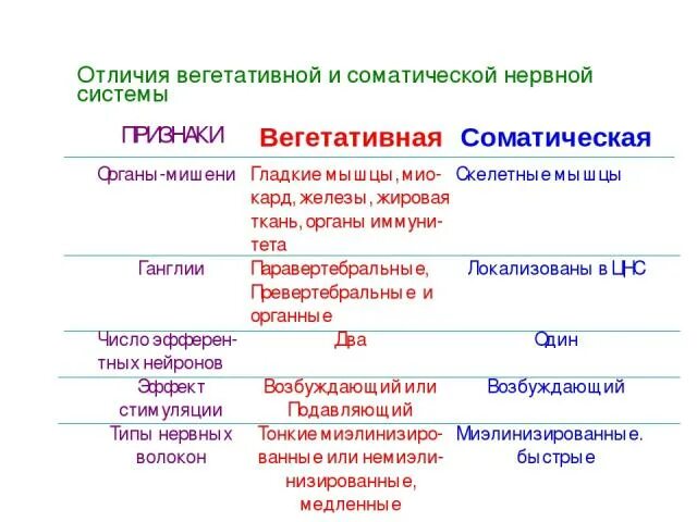 Простые системы примеры. Закрытая система. Система отличаться. Система отличаться. Различия соматической и вегетативной нервной системы.