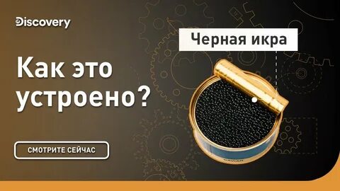 Discovery как устроен