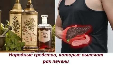 Народный способ лечения печени