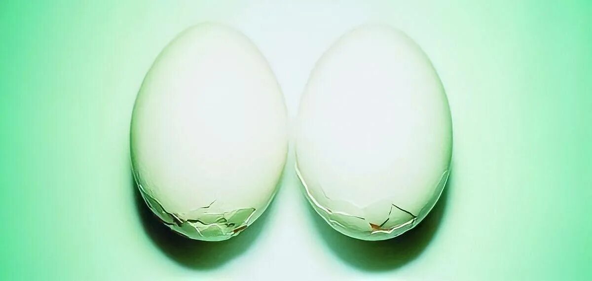 Яйца снизу. Креативная реклама яиц. Реклама яиц. Реклама два яйца. Креатив яйца реклама.