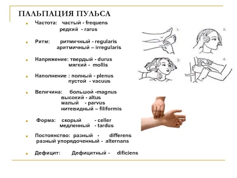 Пульс виды пульса. Характеристика пульса пропедевтика. Виды измерения пульса. Наполнение и напряжение пульса.