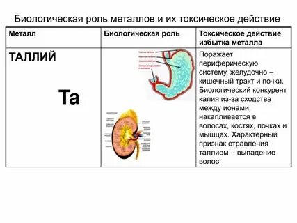Литий биологическая роль