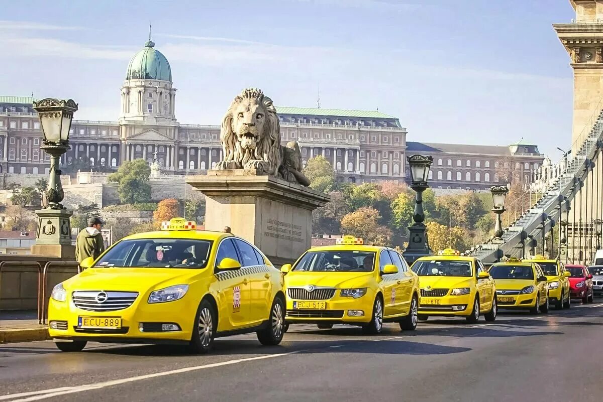 Фото такси машин. Аэропорт Будапешт такси. Машина "такси". Автомобиль «такси». Такси в Париже.