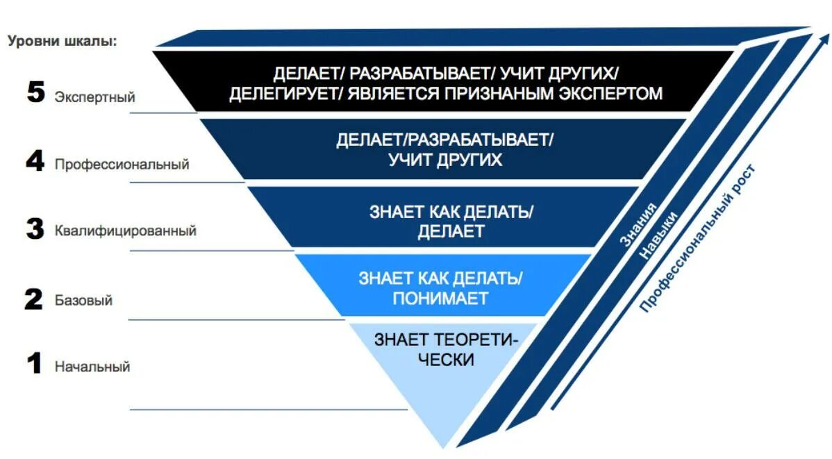 Оценка компетенции эксперта