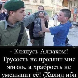 Трусость не продлит мне жизнь
