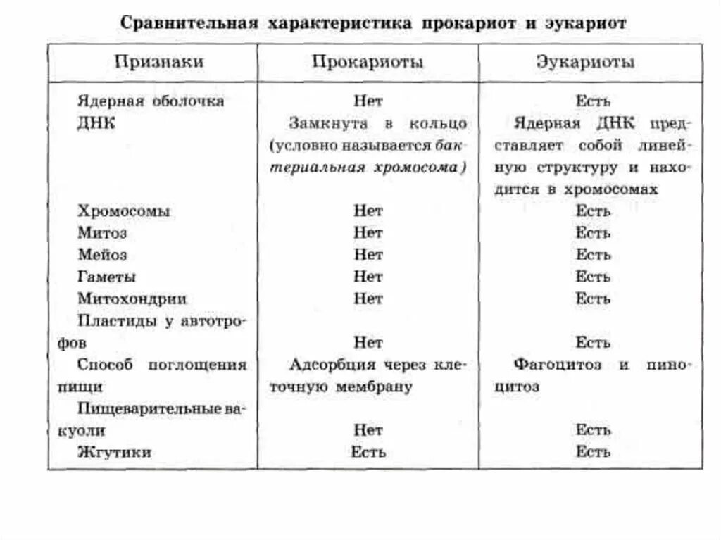 Признаки строения прокариотов и эукариотов. Строение прокариот и эукариот. Сравнение строения клеток эукариот и прокариот. Структурная организация клеток прокариот и эукариот.