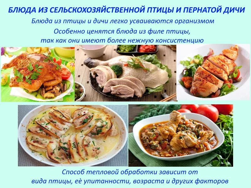 Ассортимент блюд из жареного мяса. Ассортимент блюд из жареного мяса