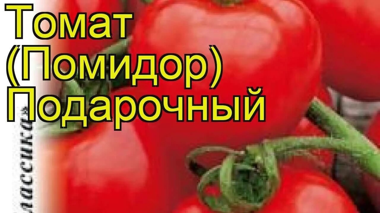 Томат сюрприз характеристика и описание сорта. Томат подарочный. помидоры сорт подарочный. томат подарок характеристика и описание сорта. томат подарочный характеристика и описание.