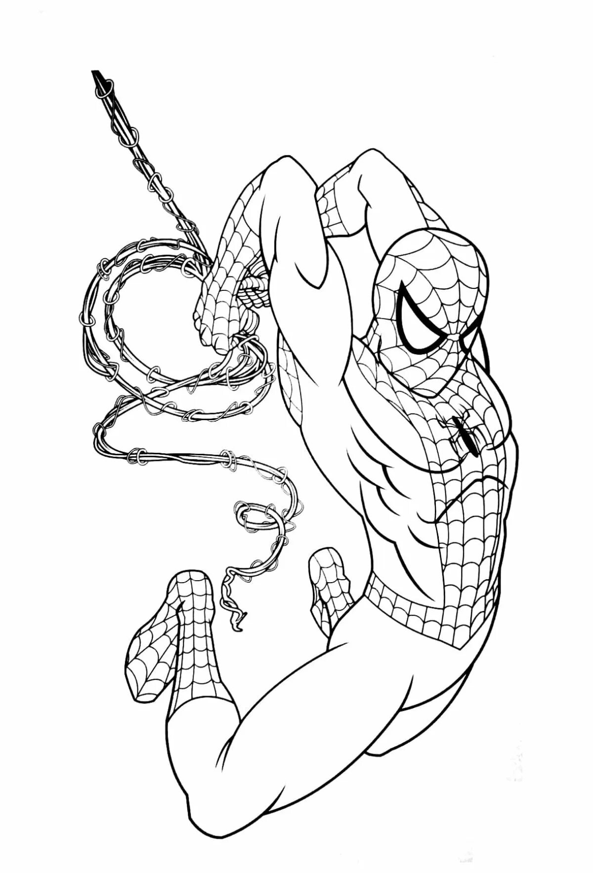 Draw spider man
